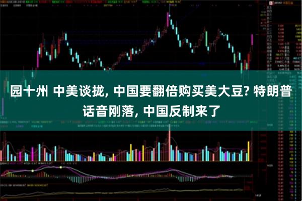园十州 中美谈拢, 中国要翻倍购买美大豆? 特朗普话音刚落, 中国反制来了