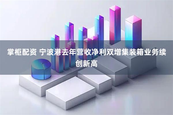 掌柜配资 宁波港去年营收净利双增集装箱业务续创新高