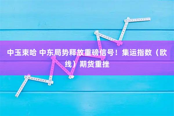 中玉束哈 中东局势释放重磅信号!集运指数(欧线)期货重挫